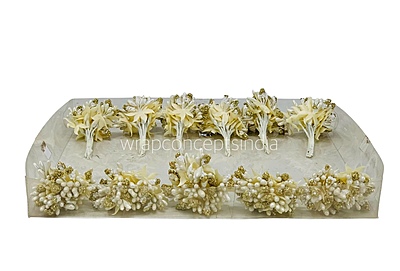 White & Glitter Gold Pollens White & Glitter Gold Pollens