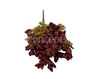 Frosted Wildflower Bush