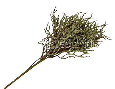 Frosted Willow Spray