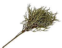 Frosted Willow Spray-Mocha