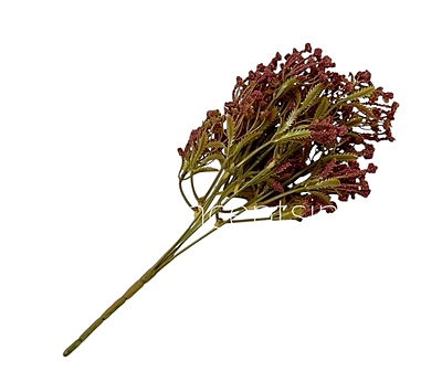 Frosted Heather Bush Frosted Heather Bush