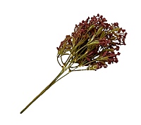 Frosted Heather Bush-Rust