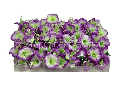 White & Purple Shaded Lily