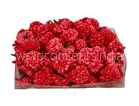 Small Carnation - Fuchsia Pink