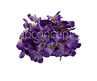 Dewberry French Hydrangeas