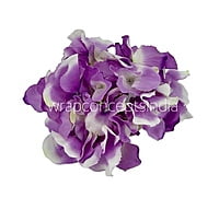 Hydrangeas - Dark Purple & White