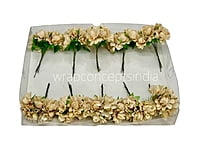 Sand Aubrieta Flower