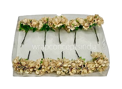 Sand Aubrieta Flower