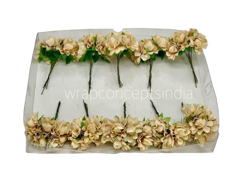 Sand Aubrieta Flower