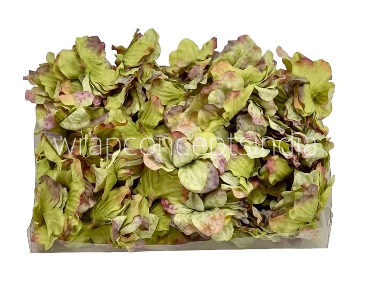 Moss Green Shaded Petunias