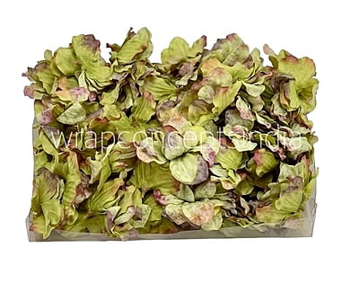 Moss Green Shaded Petunias Moss Green Shaded Petunias