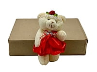 Teddy With Orange Dress & Bow