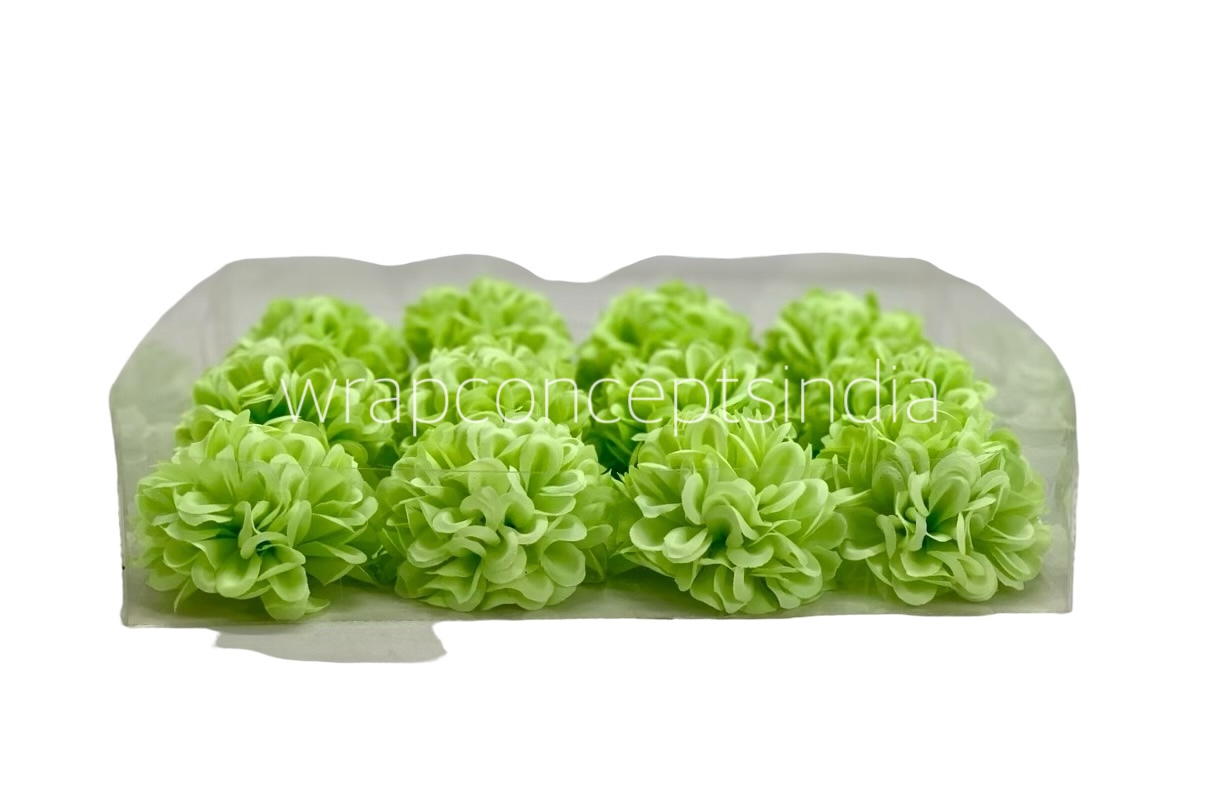 Lime Carnation