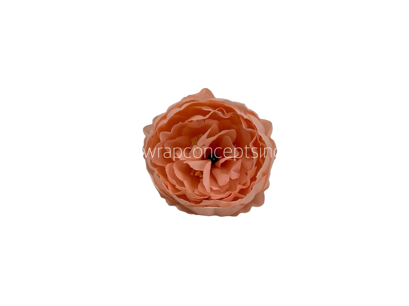 Melon Peony