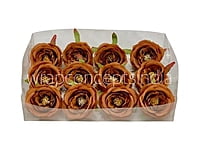 Caramel Camellia Flower