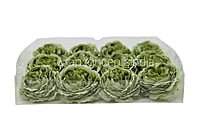 Sage Green Ornate Peony