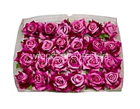Rose With Leaves - Purplish Pink