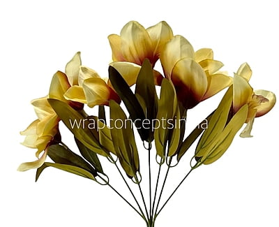 Sunshine Yellow Bougainvillea Flower Bunch