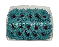 Daisy Flower-Watermelon