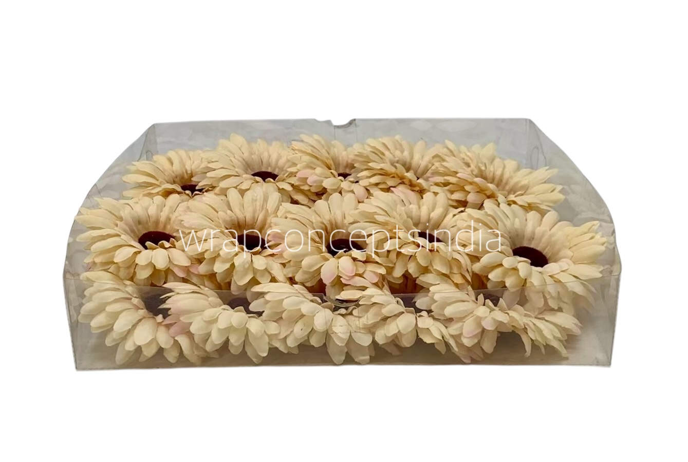 Creamish Yellow Sunflower