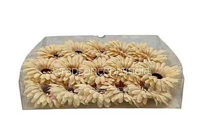 Creamish Yellow Sunflower