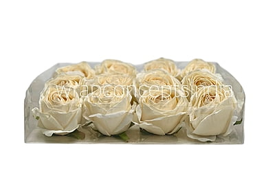 Cream Roses