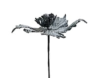 Medium Flower with Glitter Edges