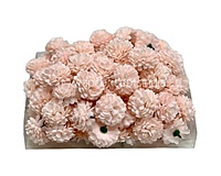 Small Carnation - Soft Peach