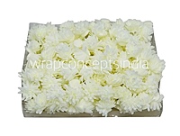 Cream Foam Carnation