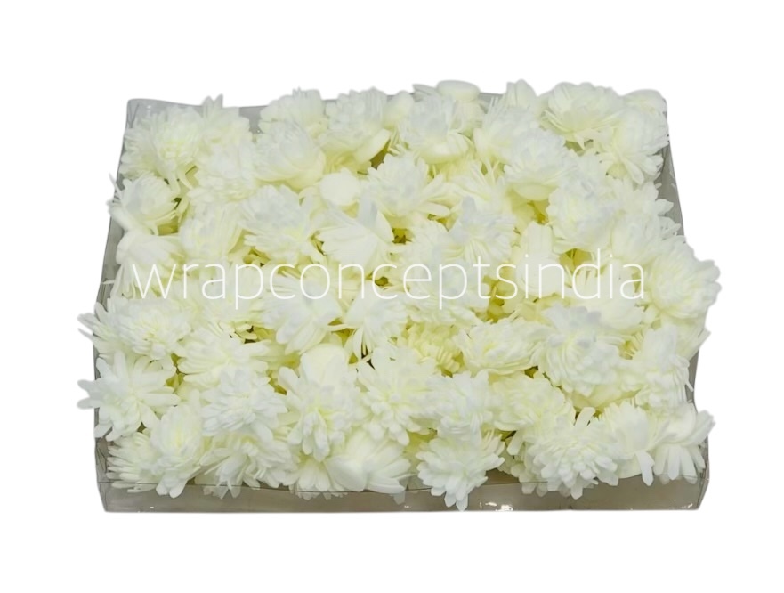 Cream Foam Carnation Cream Foam Carnation