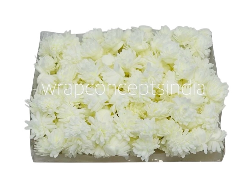 Cream Foam Carnation