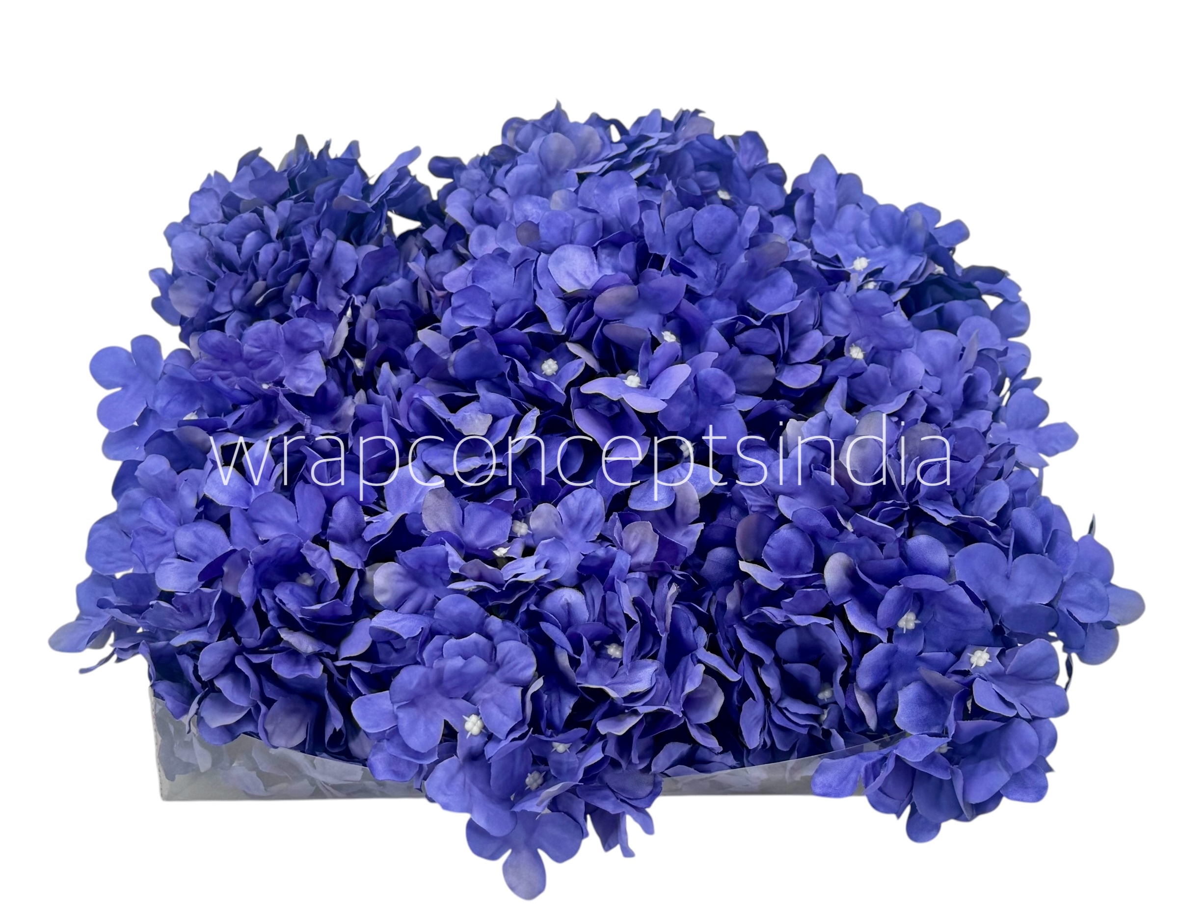 Royal Purple Hydrangeas