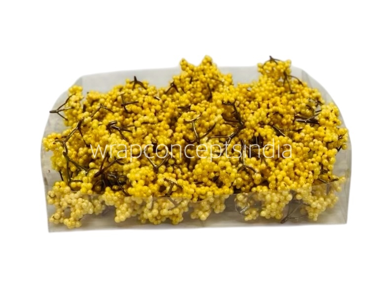 Yellow Small Fern