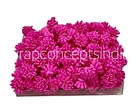 Dark Pink Foam Carnation