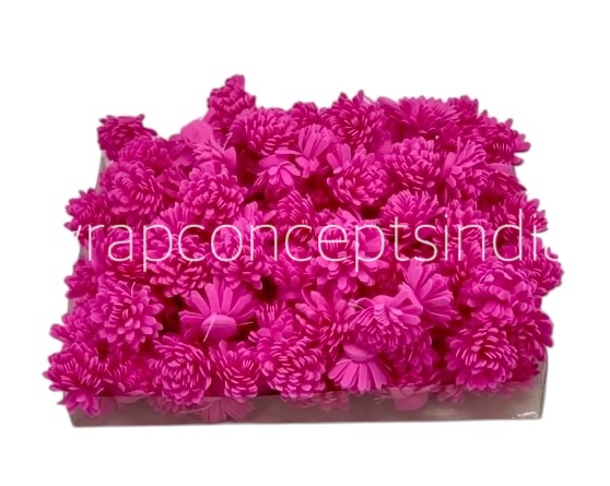 Dark Pink Foam Carnation