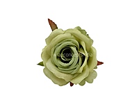 Rose Small – Sage Green
