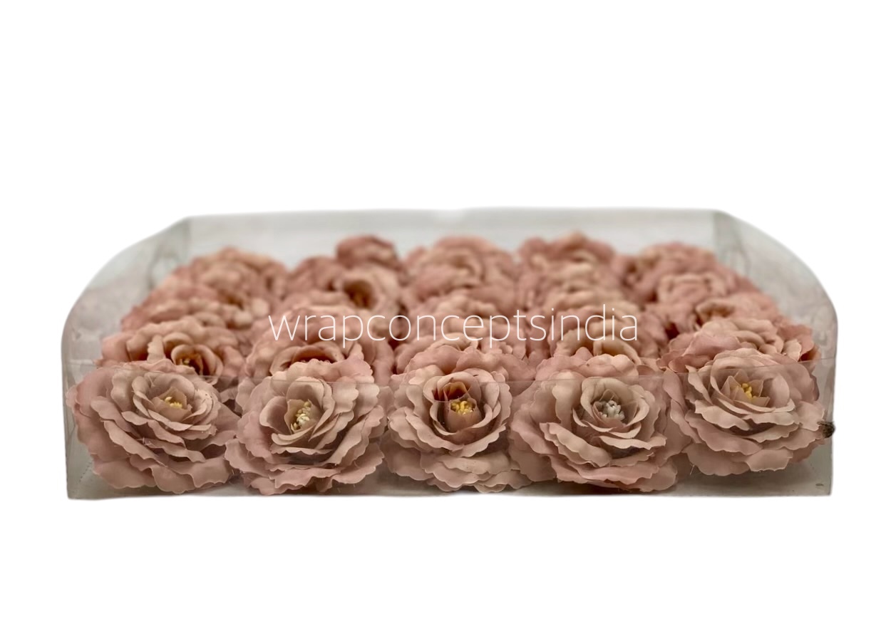 Almond Open Rose