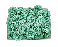 Mint Shrub Rose