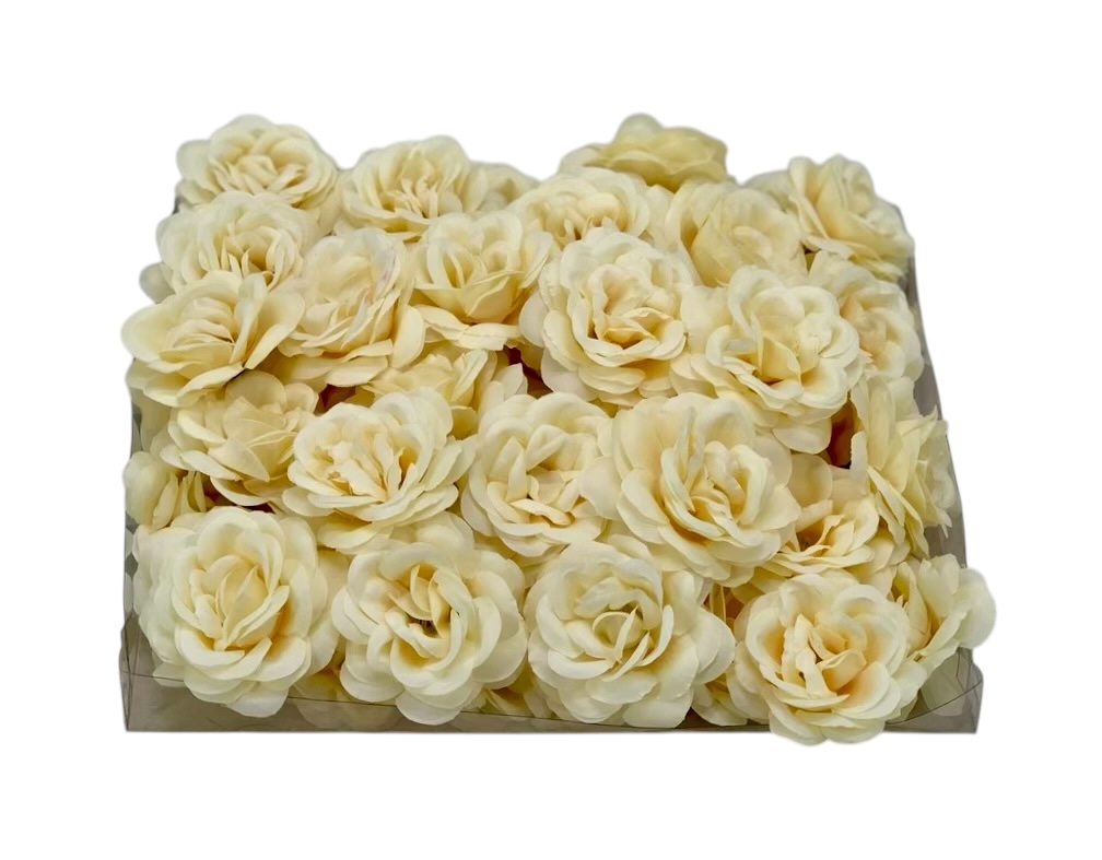 Uncounted Accessories-Sea Shell Accessory - White