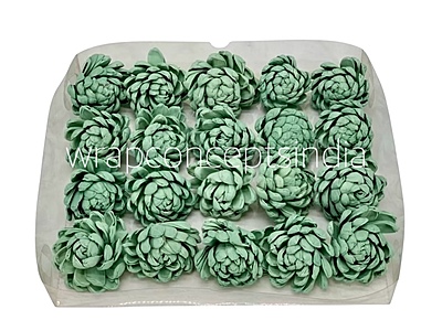 Seafoam Sola Wood Lillian