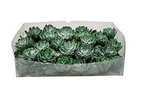Faux Succulent - Dark Green