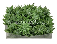 Faux Star Succulent - Light Green