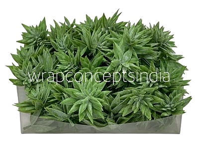 Faux Star Succulent - Light Green