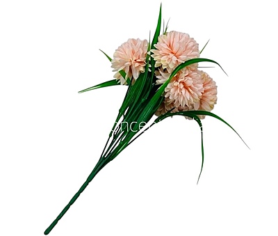 Carnation Bunch - Mullticolour