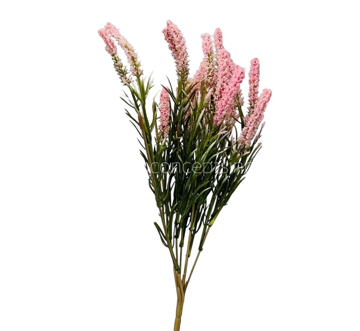 Leaves Bunch with Frosted Conifers