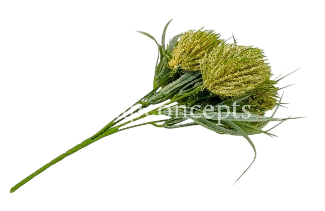 Fern Bunch with Big Frosted Conifers