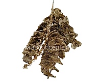 Glitter Eucalyptus - Multicolor