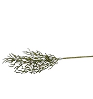 Long Coral Reef Sticks with Pearls