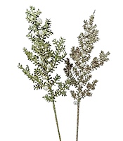 Christmas Tree Fern Sticks with Pearls