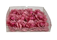 Rouge Rose With Organza Petals